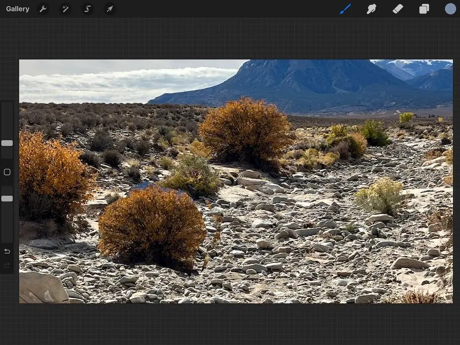 A Procreate landscape where natural objects can be cloned for design balance