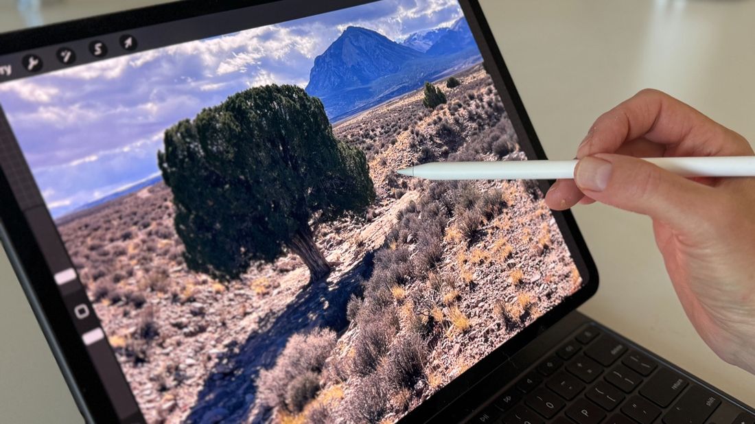 An iPad showing a tree being adjusted in a landscape composition