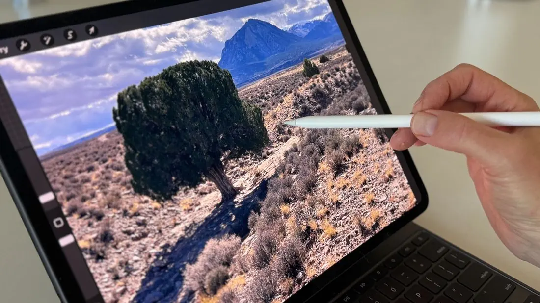 An iPad showing a tree being adjusted in a landscape composition